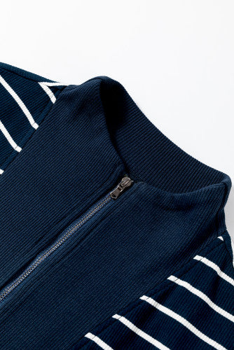 Navy Stripe Sweatshirt Dress