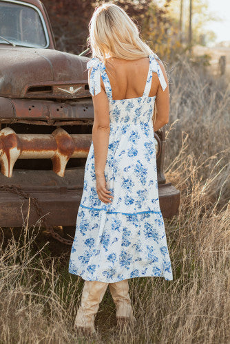 Blue Toile Maxi
